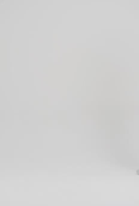 ALICE SLEVELES CROP HOODIE GREY