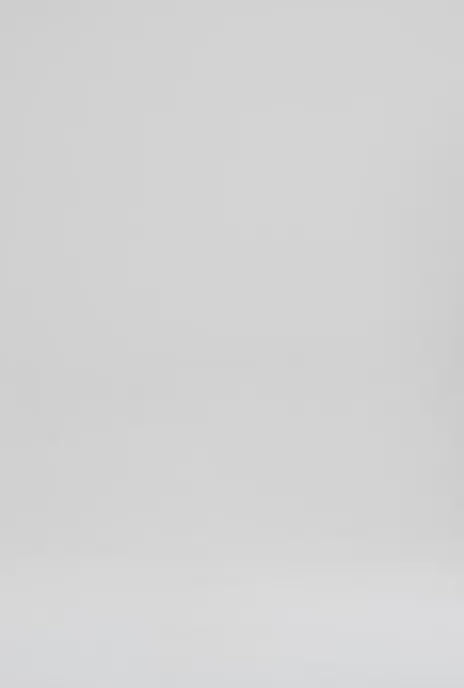 LILY WOMEN’S OVERSIZE CROP T-SHIRT ECRU