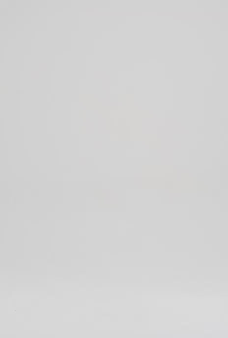 LEXA CARROT-CUT JOGGING PANTS BLACK